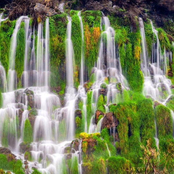 Natural springs pour from the ground in the beauty of nature