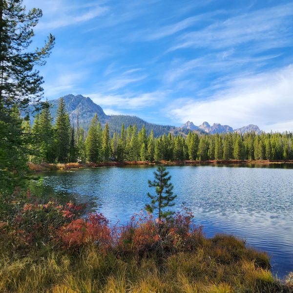 bench-lake2