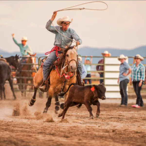 tetonvalleyrodeo2